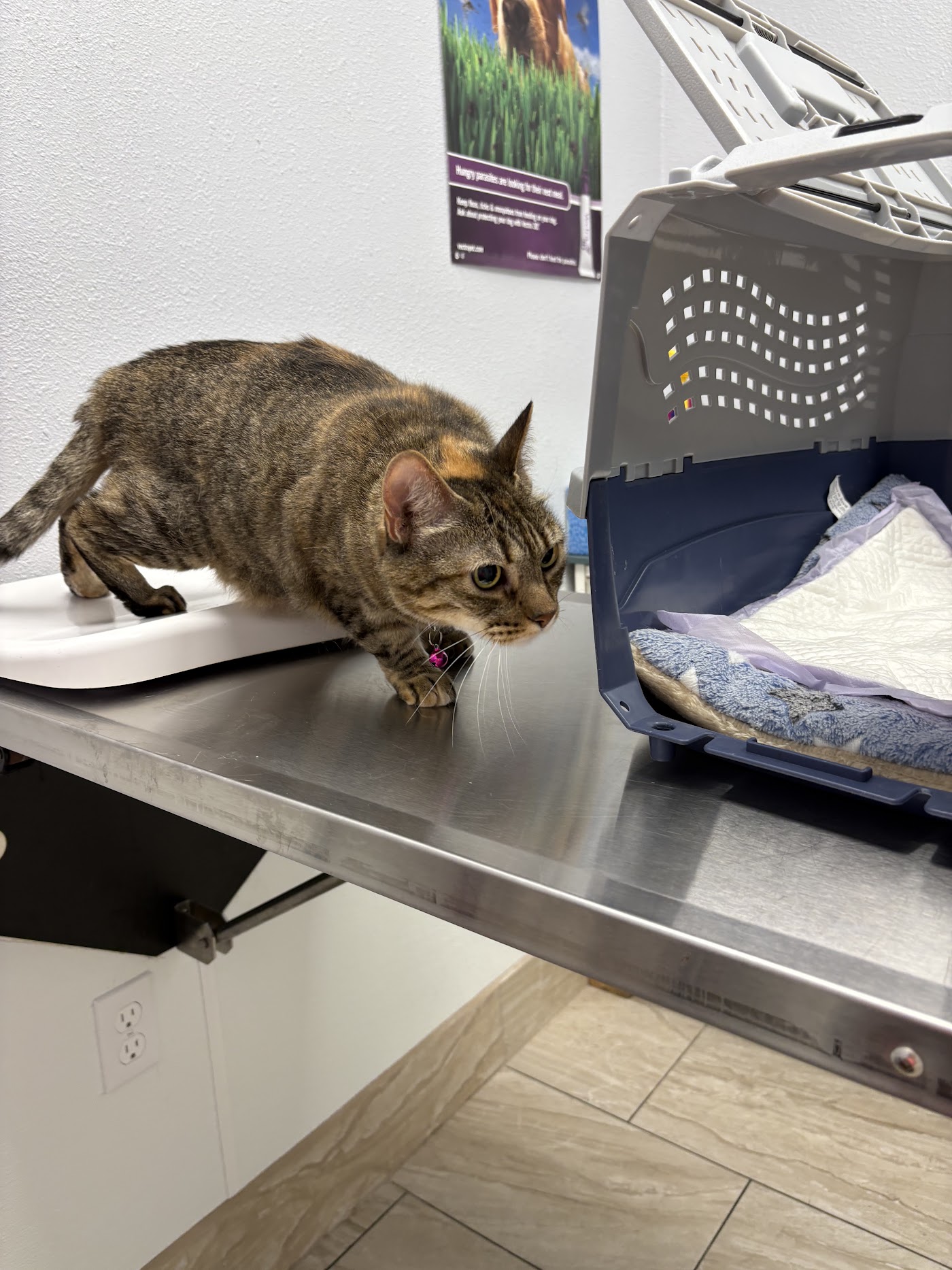 Bonita Pet Care Animal Hospital